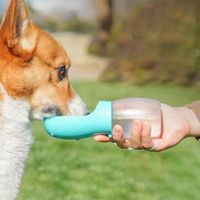 Botella Bebedero Portátil para Perros y Gatos 300ml